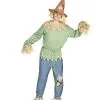 Spirit Halloween Adult Scarecrow Costume