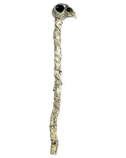 Spirit Halloween Witch Doctor Crow Staff