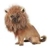 Spirit Halloween King Of The Jungle Pet Costume